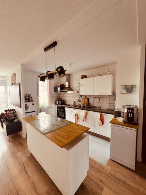 Bel Appartement Proche Mulhouse Pfastatt Екстериор снимка